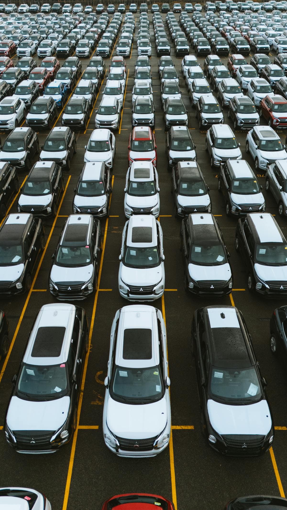 Multi-Branch Rental Companies